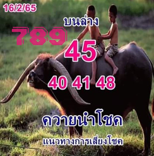 หวยเด็ด ควายนำโชค