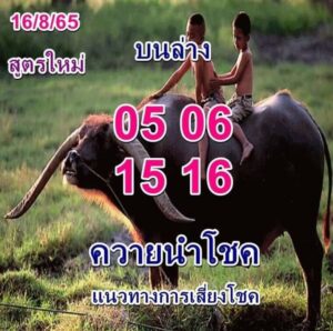 หวยเด็ด หวยควายนำโชค16/8/65