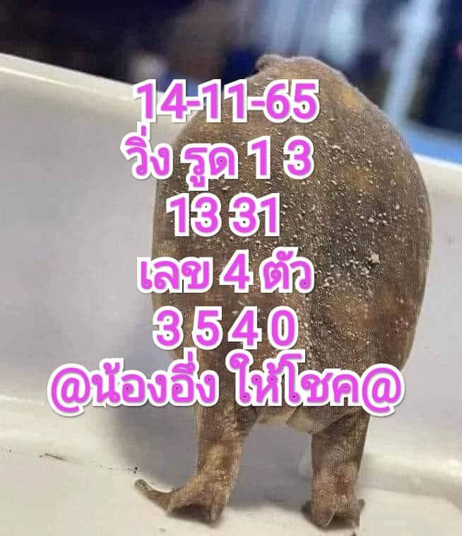 หวยลาว หวยลาวล่าสุด14-11-65