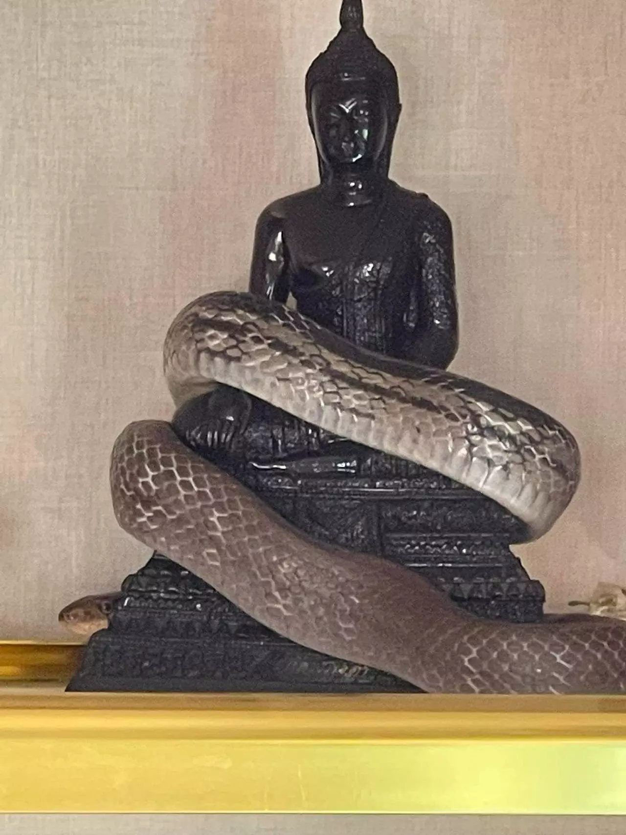 ข่าวหวย งูพันพระพุทธรูปองค์ดำ 30-12-65