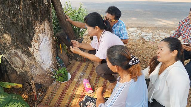 เลขเด็ดต้นฉำฉา 16-5-66