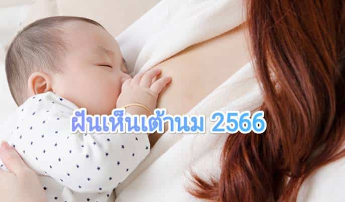 ฝันเห็นเต้านม 2566