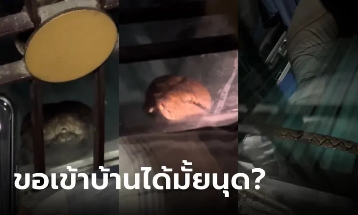 เลขงูเหลือมเข้าบ้าน 1-10-66