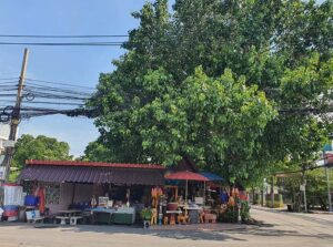 สถานที่ขอหวย ศาลเจ้าพ่อเสือบางเขน 2567